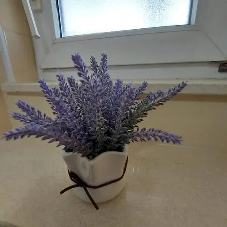 As بيت ضيافة فوديس