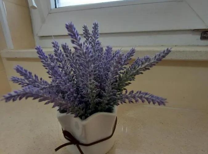 As Affittacamere Vodice